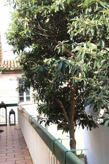 Spacieux Appartement 4 Couchages, Terrasse Privee Narbonne Exterior foto